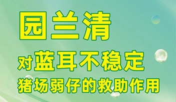 園蘭清對藍耳不穩(wěn)定豬場弱仔的救助作用！